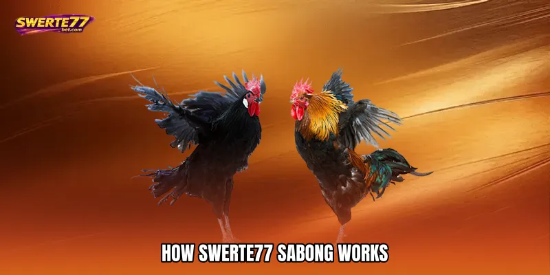 How SWERTE77 Sabong Works