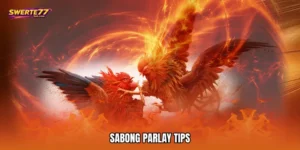 Sabong parlay tips