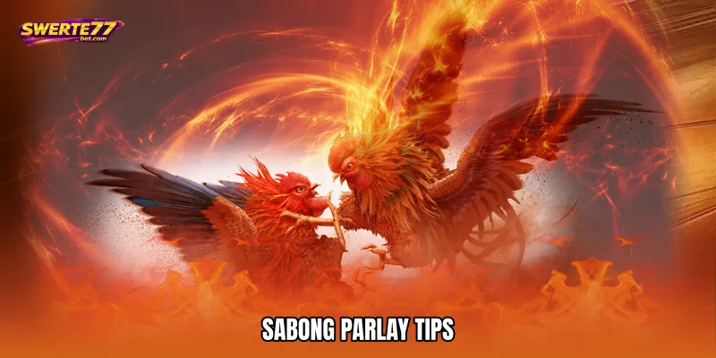Sabong parlay tips