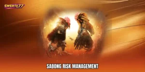 Sabong risk management
