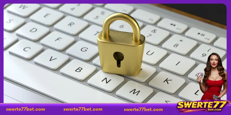 Defining the Scope of the SWERTE77 Privacy Policy