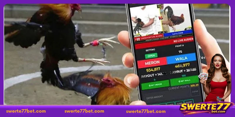 Understanding the Sabong Betting Bot